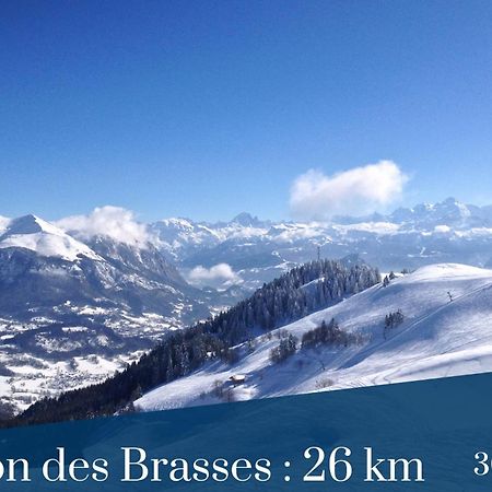 Homey The Nest - New / Balcon Prive / Free Parking Annemasse Buitenkant foto